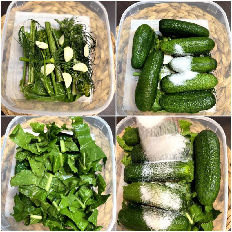 ����������� ���� ��������� ���������: ������� ������ ������� �������