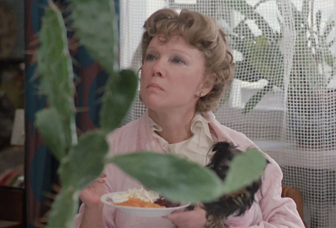 ������ �����, ������� ��� �������� ������ ����