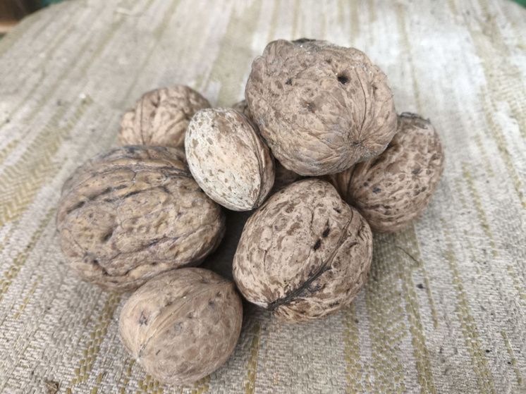 ��� ��������� ���� ����� � ������� ����: ������ �� ���������������� ��� �������