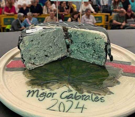 Как кусок сыра стал символом упущенных возможностей