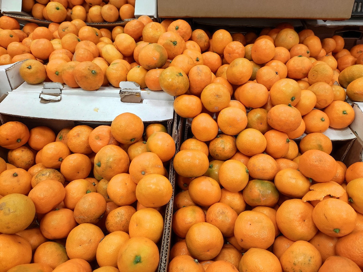 Сезон абхазских мандаринов: как отличить настоящие плоды от подделок