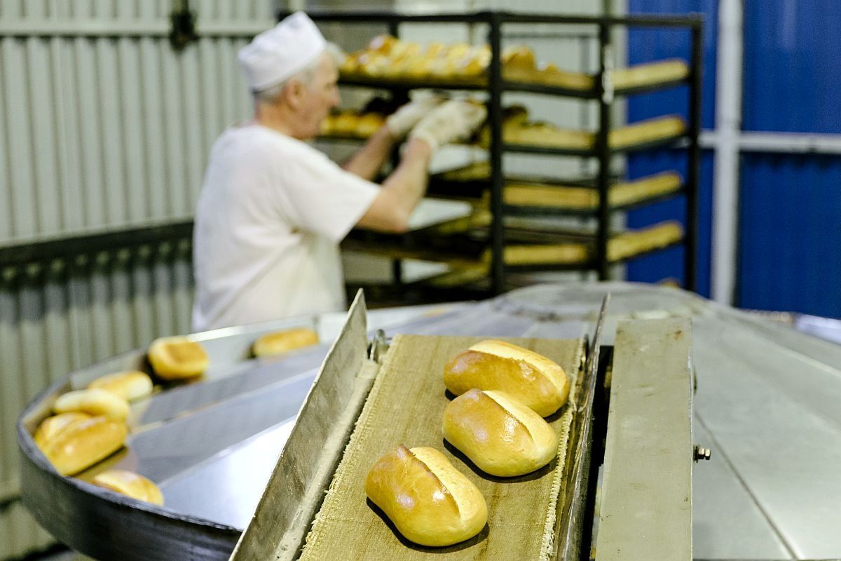 ��������������� ��������: ����� ���� � ������ �����������