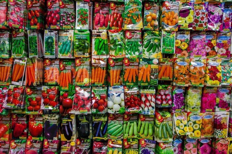 ��������� ��� �������� ������: ����� ����� ������� ��� ������ �������?