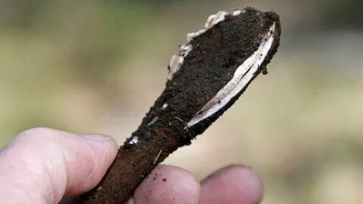 ����, ������� ������� � ������ ������