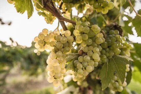 ���������� ��������� ��������