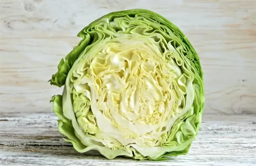 Вкусные рецепты с молодой капустой: меняем представление о простом овоще