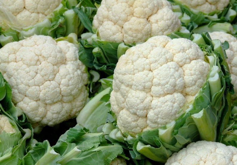 ������� ������� ��� ����: ����� ����� ��������� ������� ������ � ������������ ����