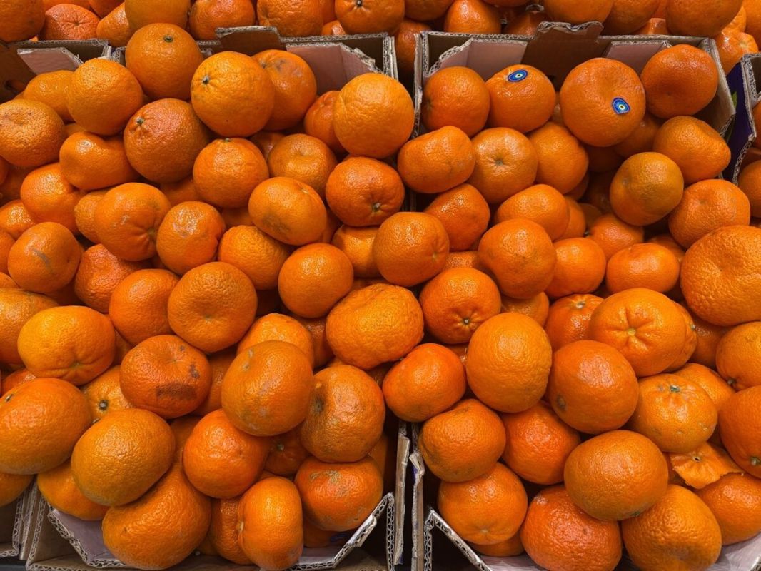 ��� ������� ������� ��������� ��� ��������: ������ ���������