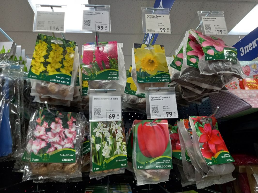 ����� ����� '�� �� 35 ������' � ���� �����: ����� �� ������� �����?