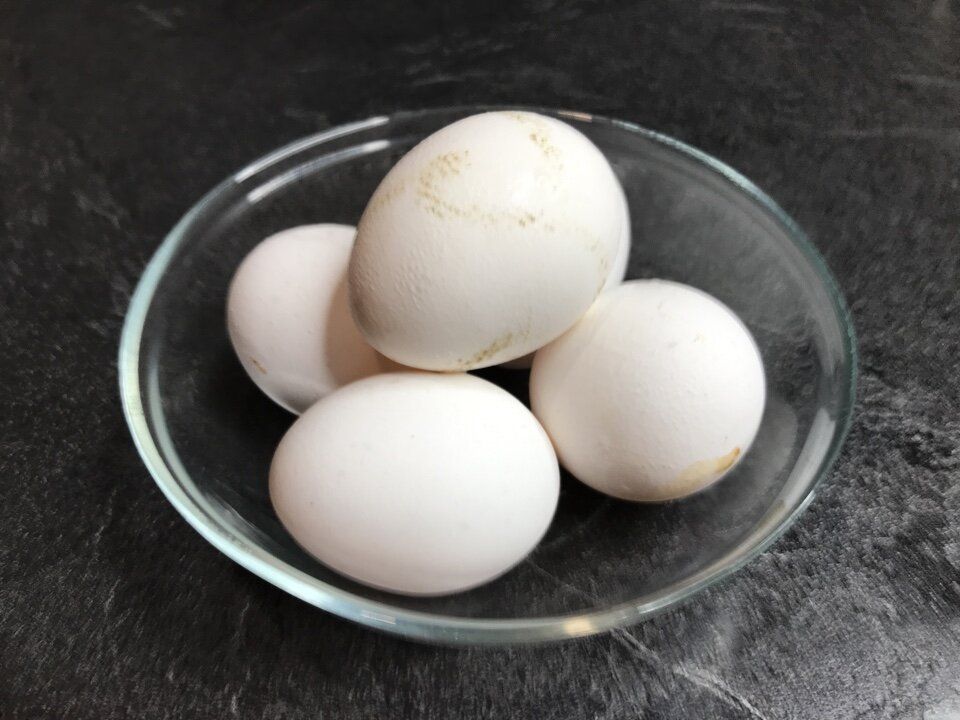 ���������� ���� ������ ��������: ����� �� ������ ����� � ������ ����������� ��������?