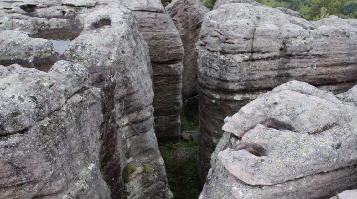 ���������� ��������� ��������: ������ � ���� �������