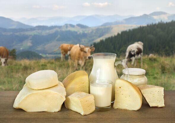 ���������� ���: ���������, �������� ������� � �������� ������� �����