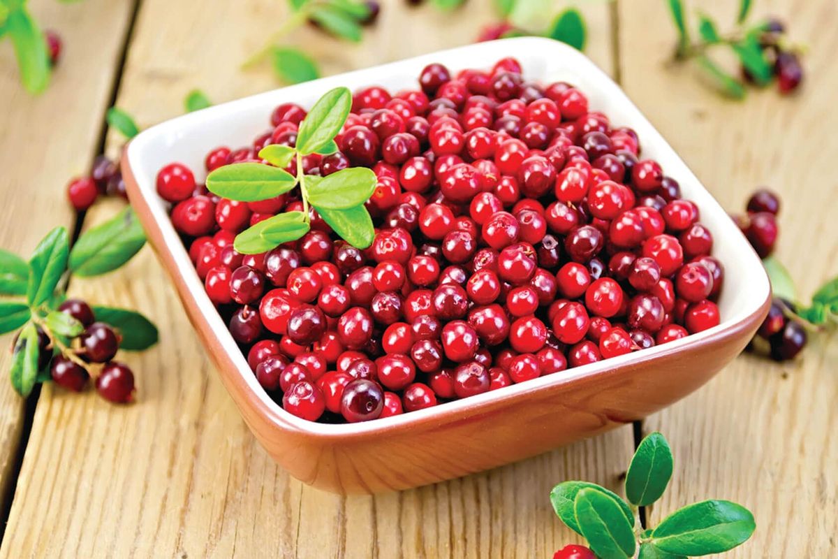 ��������� ���� �� ����: ������� �������� � ������