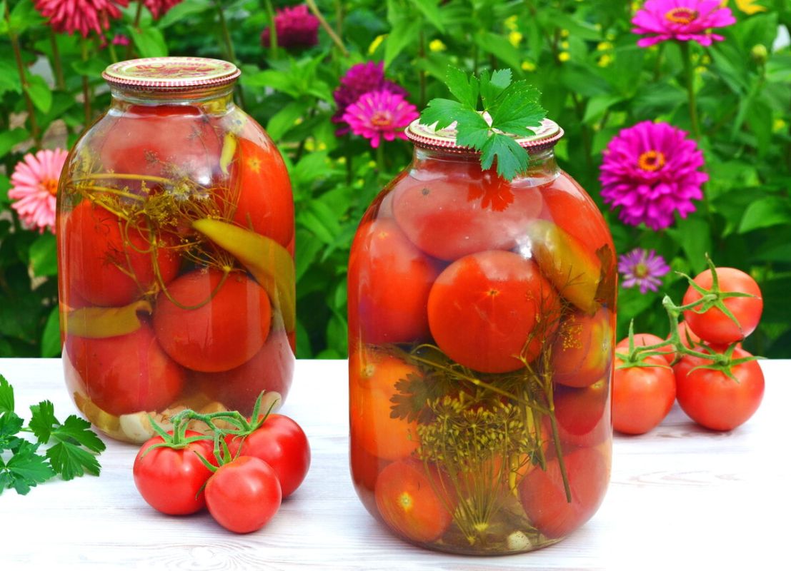 ��������� ������ ������������ ���������