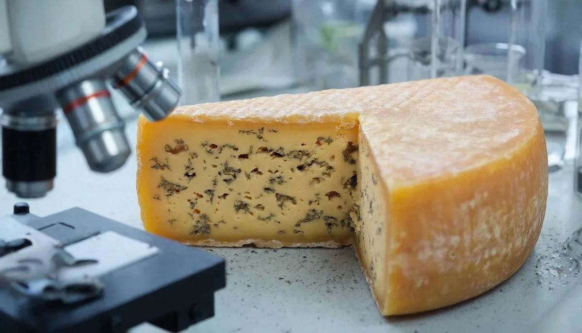 ������� ����: ��� �� ����� ���� ���������� � ����� �����?