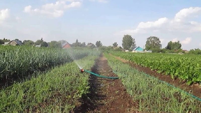 ��������� ������ ����: ��� ������� �������� ������ � ��������� �������� ��������