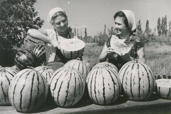 ��� ������ �������� ���������: �������, ����������� ������� ��������� � ����������