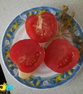 ����������� ��������: ������� ������� ��� �������� ��������