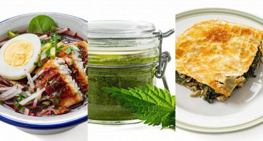 ������� �� ����� �������: ��������� ������� ��� �������� ��������