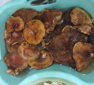 ��������: ��� ��������� ���������� � ����������� ����� ��� ����� ��� ��������