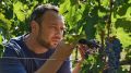 Павел Швец: нужно заниматься продажами на десятилетия вперед