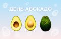 Авокадо: удивительный фрукт с безграничными возможностями на вашей кухне