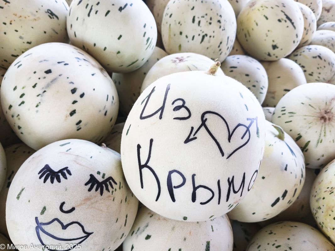 Тильда и дынные корочки: как южный сад обходится без отходов